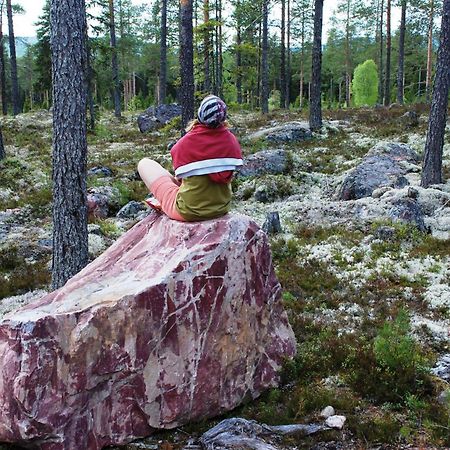 14 - Fulufjellets Nasjonalparker - Natur-, Dyre- Og Fugleopplevelser Трюсіль Екстер'єр фото