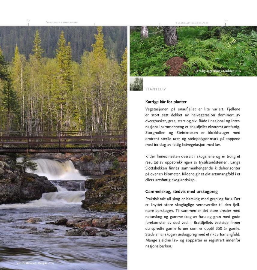 14 - Fulufjellets Nasjonalparker - Natur-, Dyre- Og Fugleopplevelser Трюсіль Екстер'єр фото