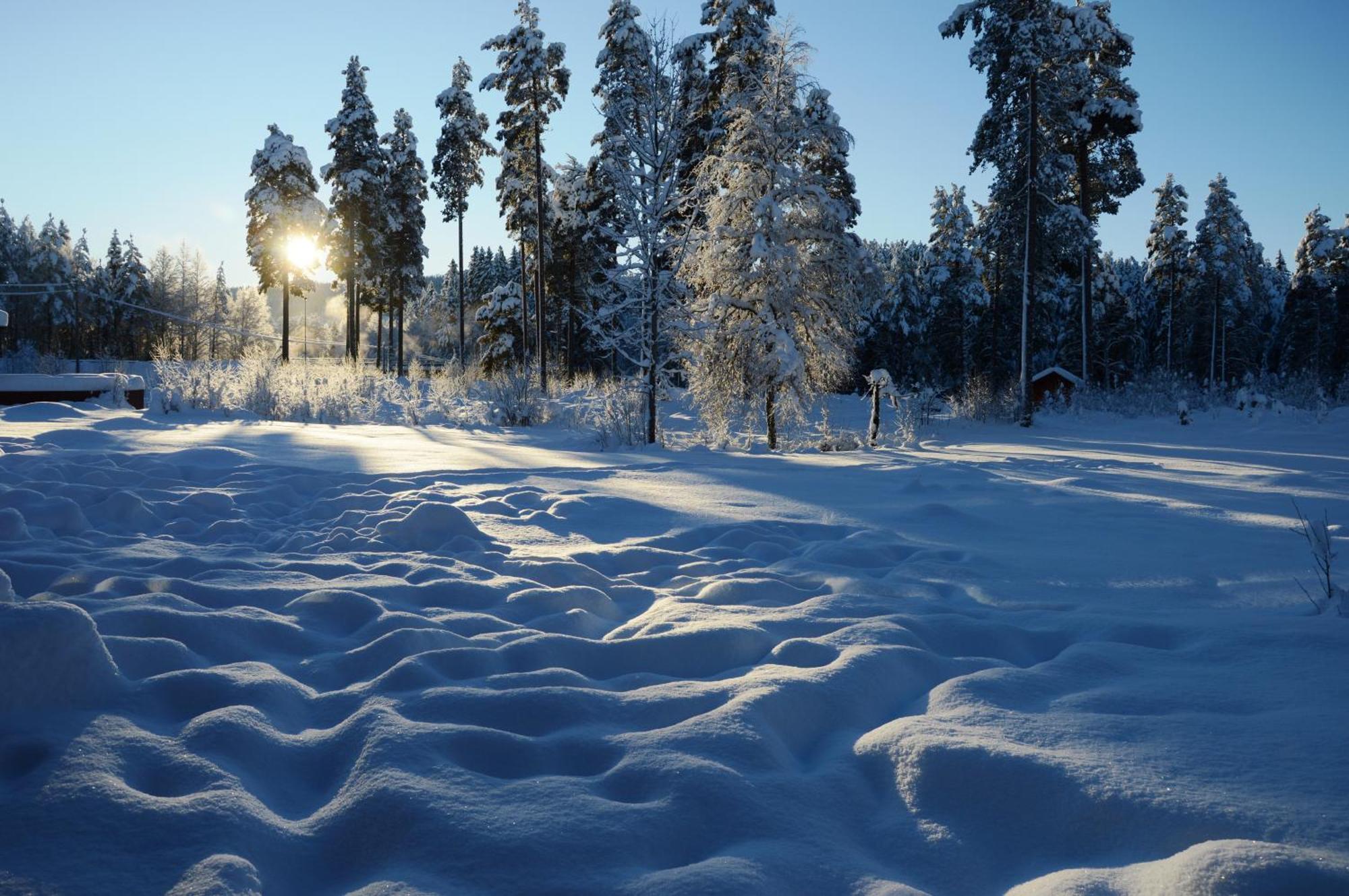 14 - Fulufjellets Nasjonalparker - Natur-, Dyre- Og Fugleopplevelser Трюсіль Екстер'єр фото