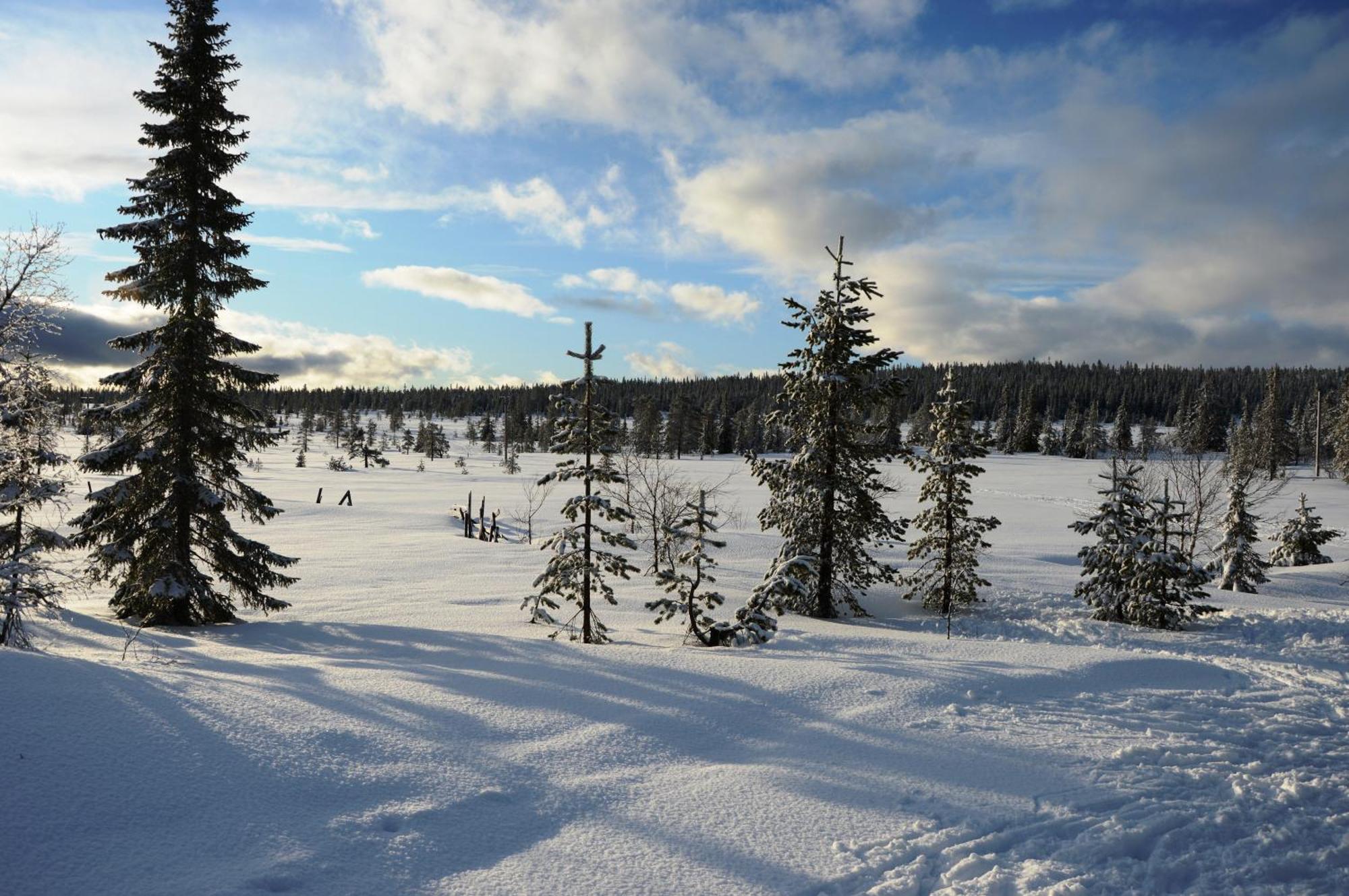 14 - Fulufjellets Nasjonalparker - Natur-, Dyre- Og Fugleopplevelser Трюсіль Екстер'єр фото