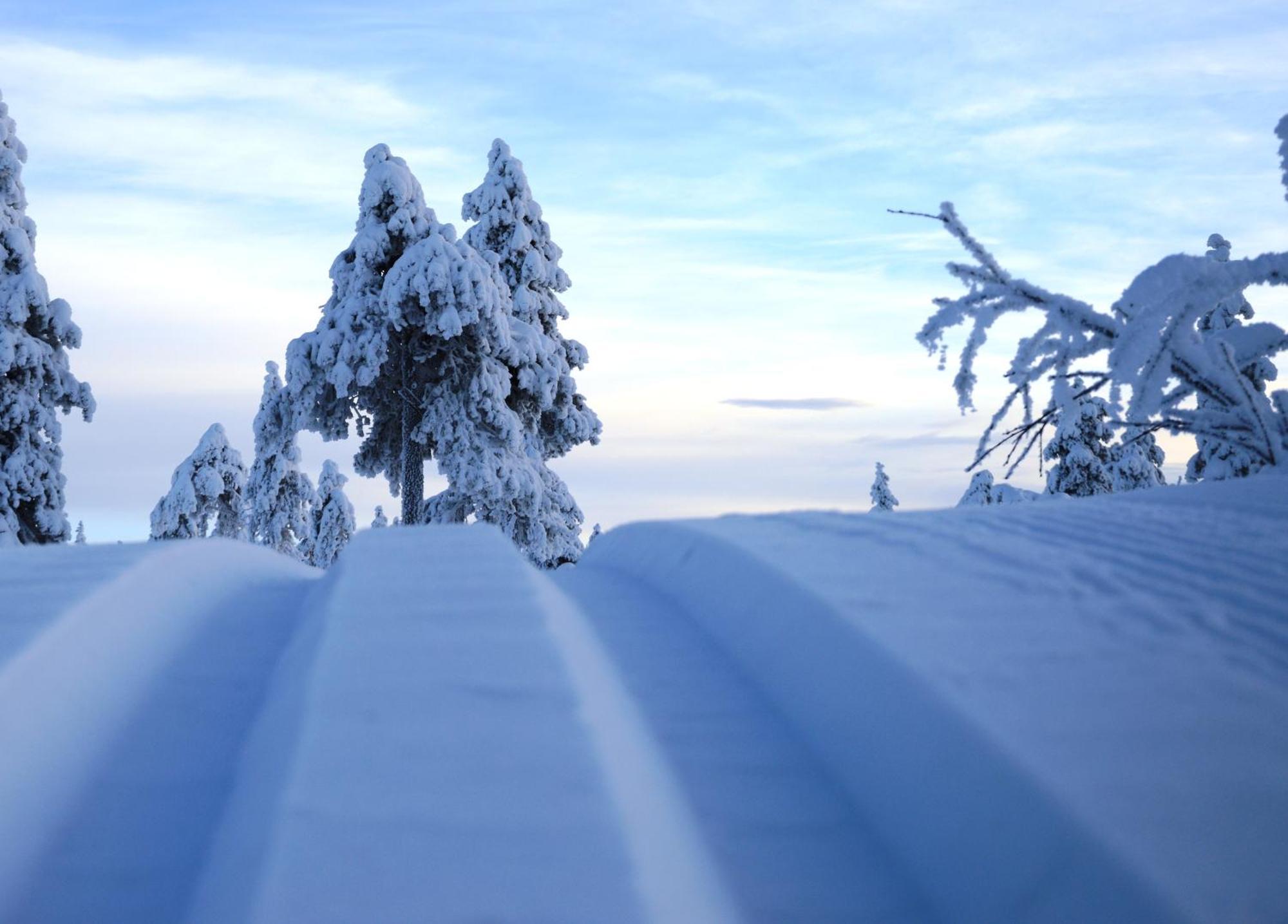 14 - Fulufjellets Nasjonalparker - Natur-, Dyre- Og Fugleopplevelser Трюсіль Екстер'єр фото