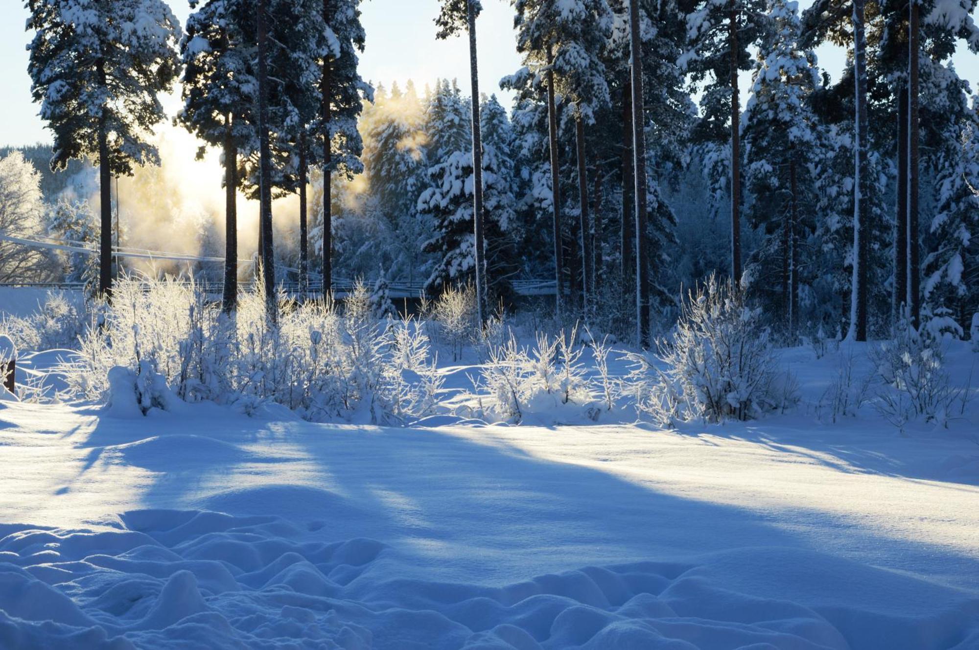 14 - Fulufjellets Nasjonalparker - Natur-, Dyre- Og Fugleopplevelser Трюсіль Екстер'єр фото