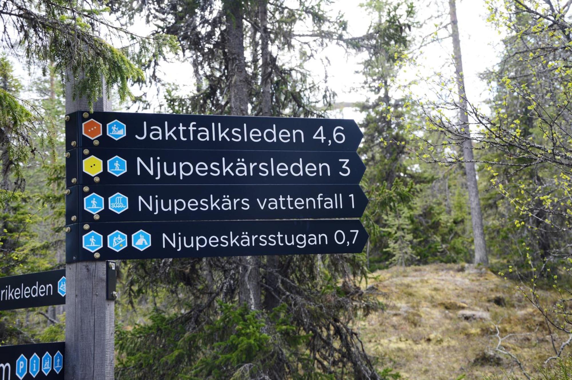 14 - Fulufjellets Nasjonalparker - Natur-, Dyre- Og Fugleopplevelser Трюсіль Екстер'єр фото