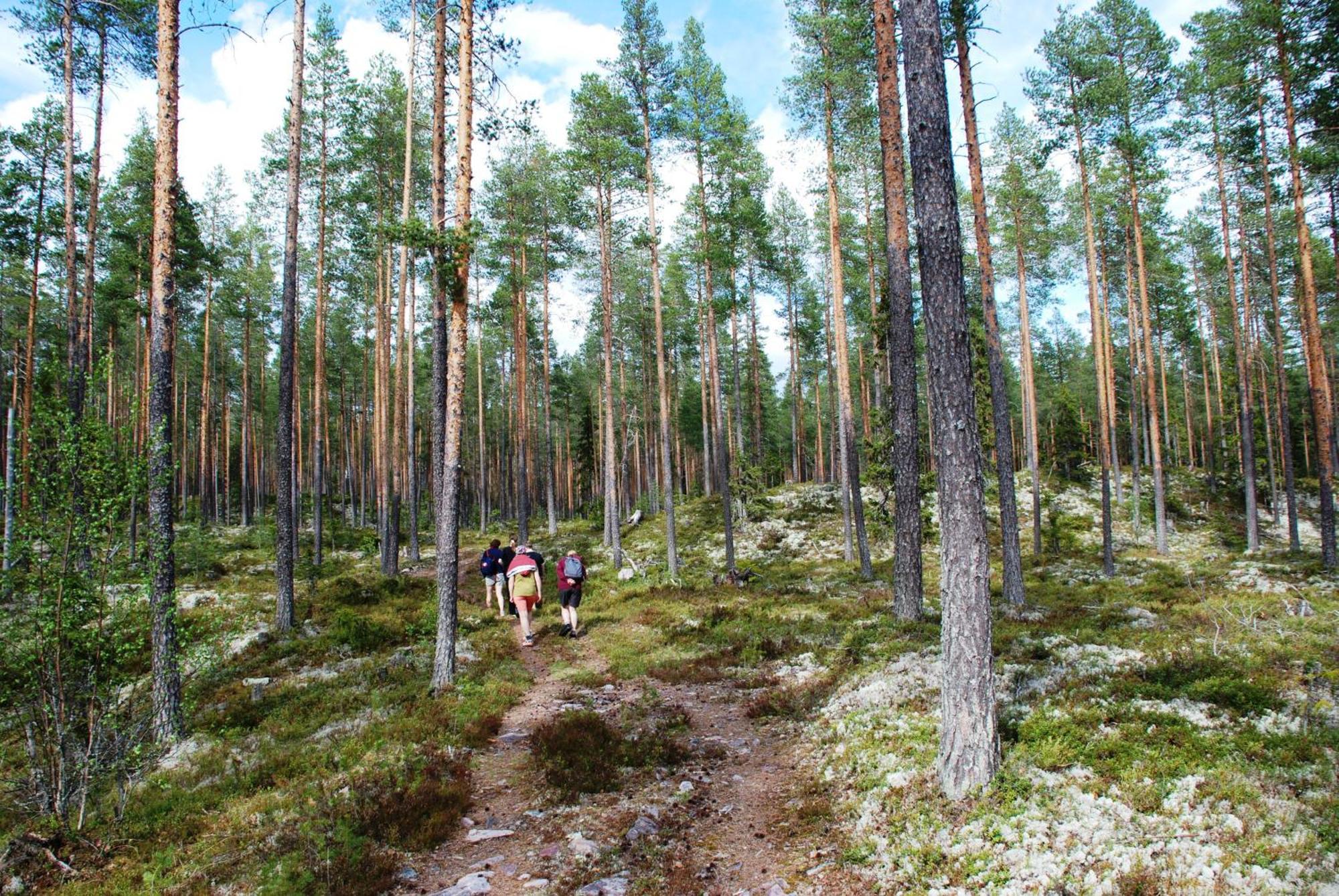 14 - Fulufjellets Nasjonalparker - Natur-, Dyre- Og Fugleopplevelser Трюсіль Екстер'єр фото