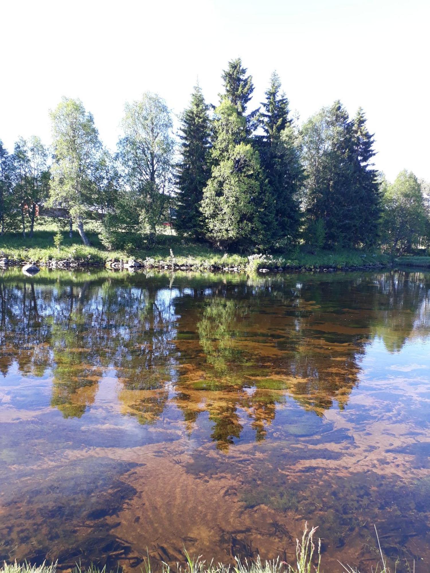 14 - Fulufjellets Nasjonalparker - Natur-, Dyre- Og Fugleopplevelser Трюсіль Екстер'єр фото