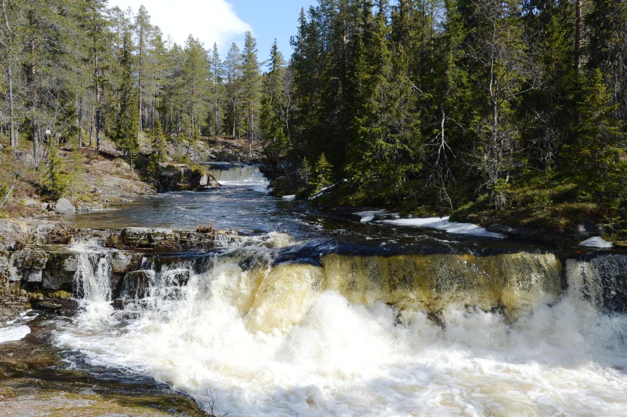 14 - Fulufjellets Nasjonalparker - Natur-, Dyre- Og Fugleopplevelser Трюсіль Екстер'єр фото