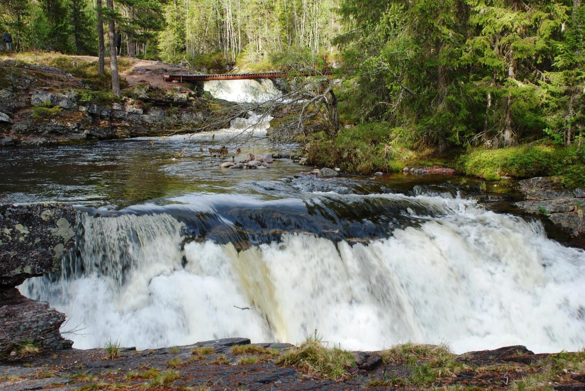 14 - Fulufjellets Nasjonalparker - Natur-, Dyre- Og Fugleopplevelser Трюсіль Екстер'єр фото
