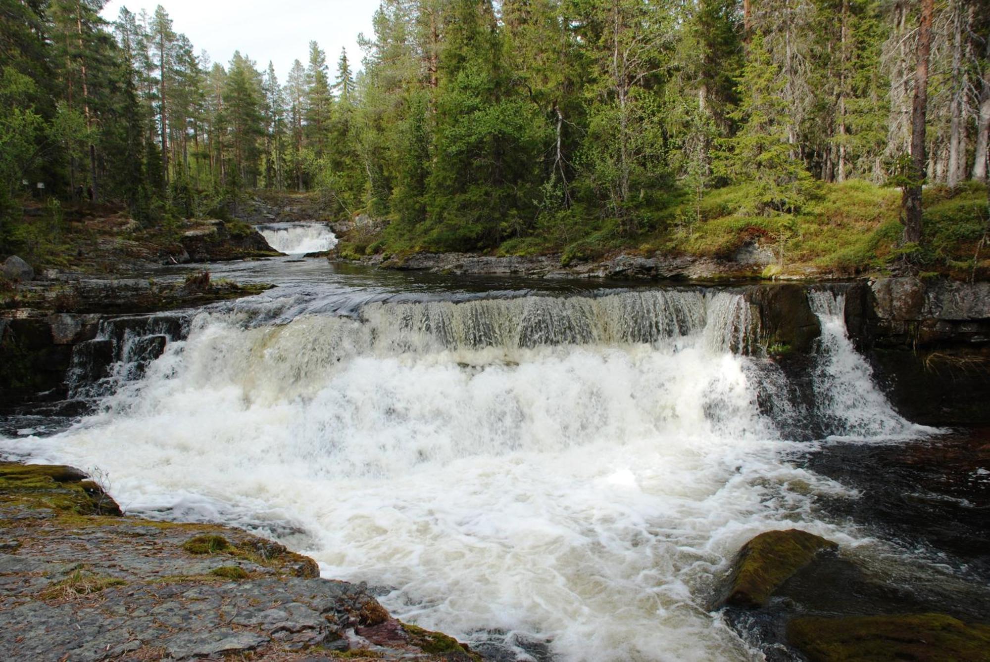 14 - Fulufjellets Nasjonalparker - Natur-, Dyre- Og Fugleopplevelser Трюсіль Екстер'єр фото