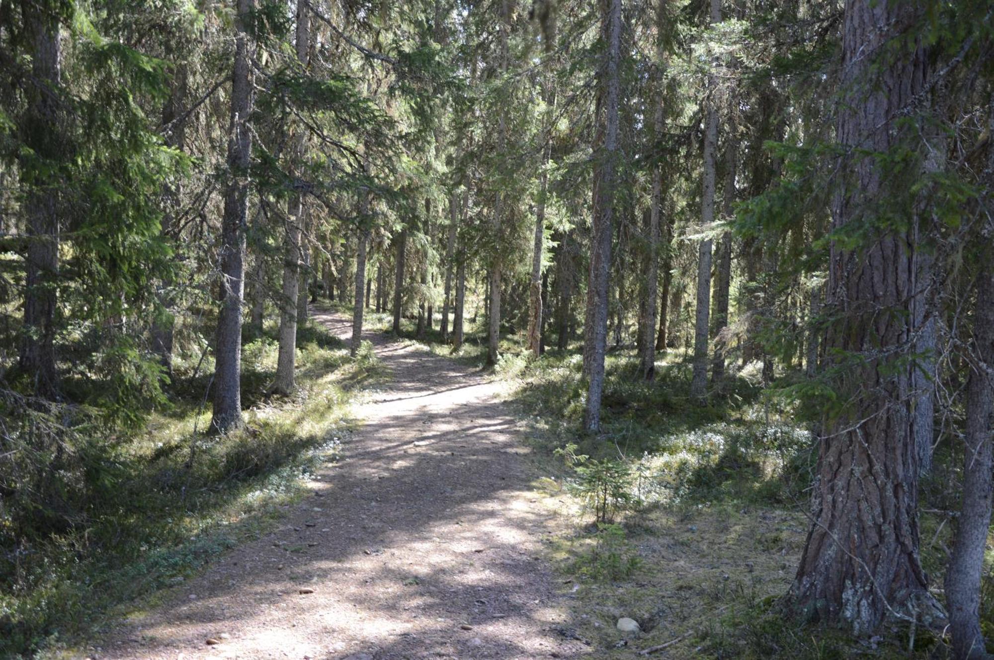 14 - Fulufjellets Nasjonalparker - Natur-, Dyre- Og Fugleopplevelser Трюсіль Екстер'єр фото
