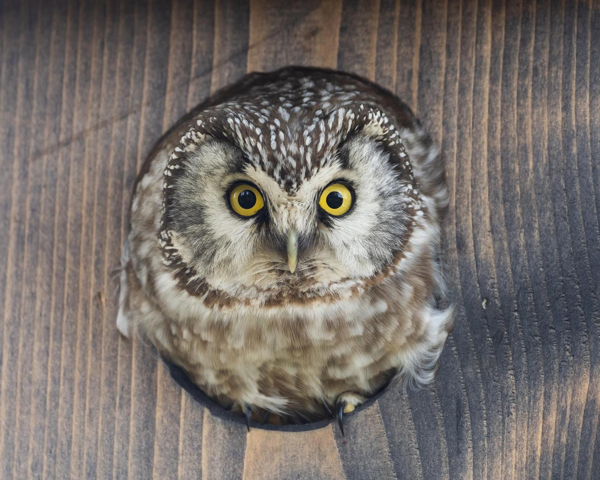 14 - Fulufjellets Nasjonalparker - Natur-, Dyre- Og Fugleopplevelser Трюсіль Екстер'єр фото